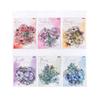 20pcs Retro Plant Flower Translucent PET Stickers DIY Diary Scrapbook Creative Planner Handbook Aesthetic Craft Supplies