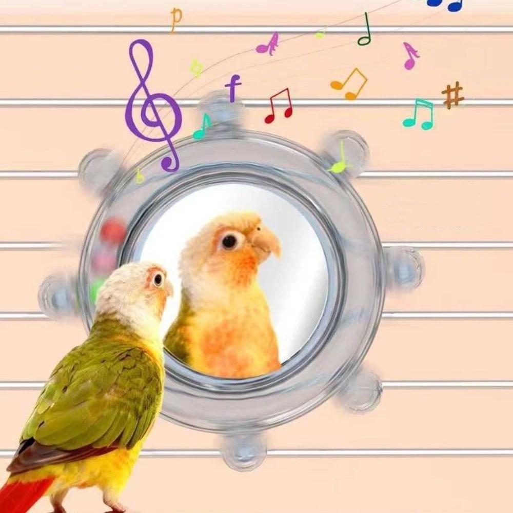 Wear-Resisting Bird Mirror Perch Colorful Ball Bird Flying Saucers  Bird Supplies