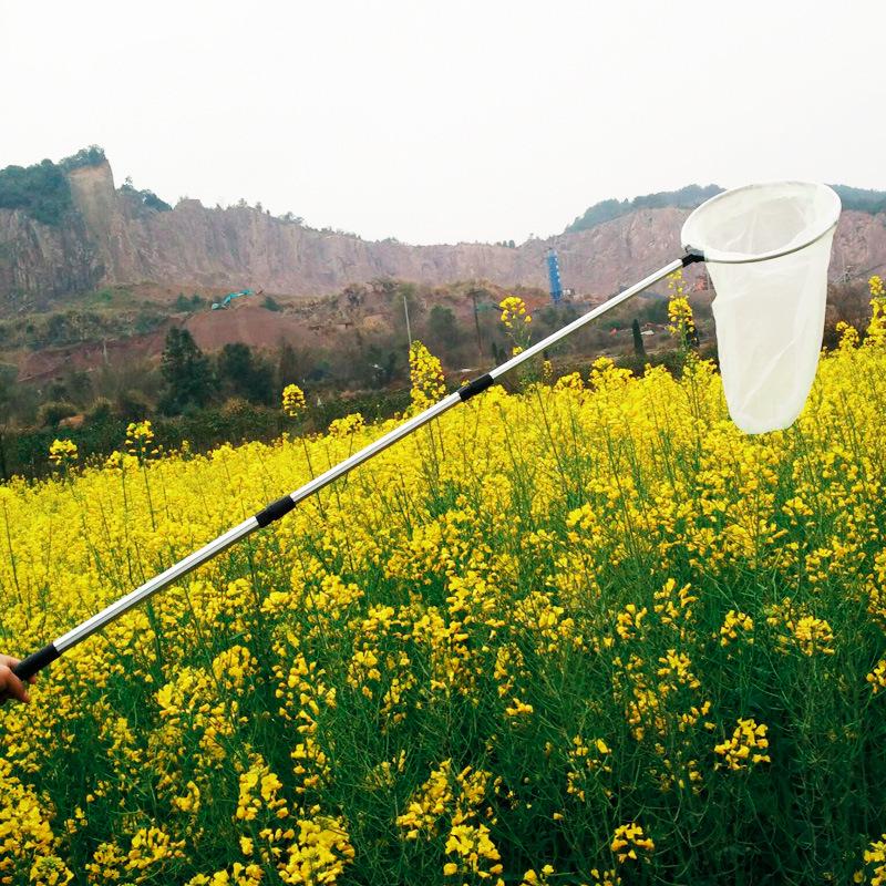 Telescopic Aluminum Alloy Insect & Butterfly Net for Daphnia, Bloodworms, and Mosquitoes.