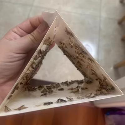 Главная Кухня и одежда Кладовая ловушки для моли с феромонами Prime Clothes Closet Moth Traps Magic Moth Catcher