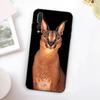 African Lynx Caracal Big Cat For Huawei Nova 5T 9 10 SE 7i 8i 11i 12i Y73 Y90 Y70 Y72 Y61 Y91 Y60 P20 P40 P30 Lite Case