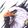 Scratch blocking 3D Simulation Sticker Car Body Decoration Eagle Car Sticker Motorcycle Decal