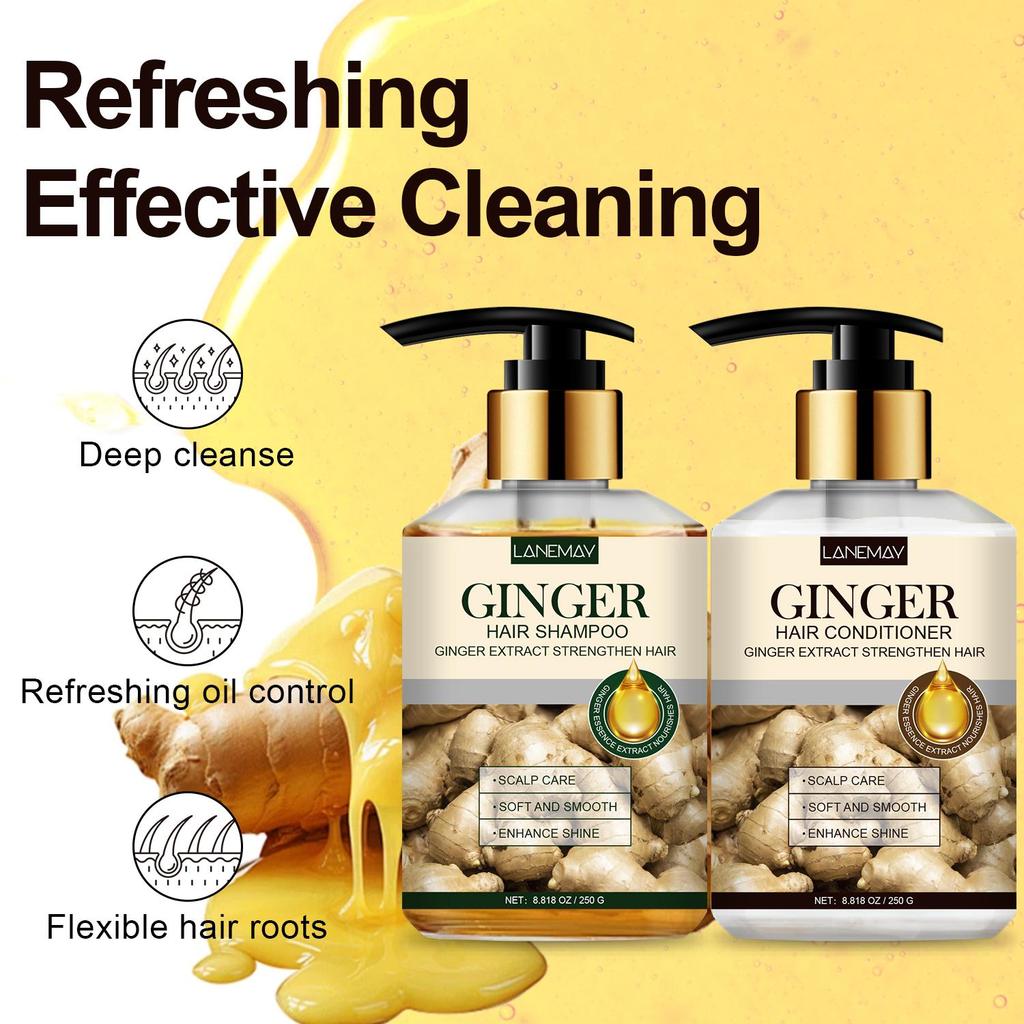 Ginger  Shampoo & Conditioner -Soft and Smooth With Ginger Extract-Enhance Shine-Suitable for All Hair Types, 250ml+250ml
