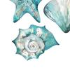 3 Pcs Wooden Rustic Beach Wall Art Ocean Coastal Nautical Seashell Starfish Couch Wall Decor for Living Room Bedroom Lake House Decor