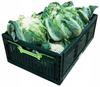Folding Box 600X400X219Mm Dark Green