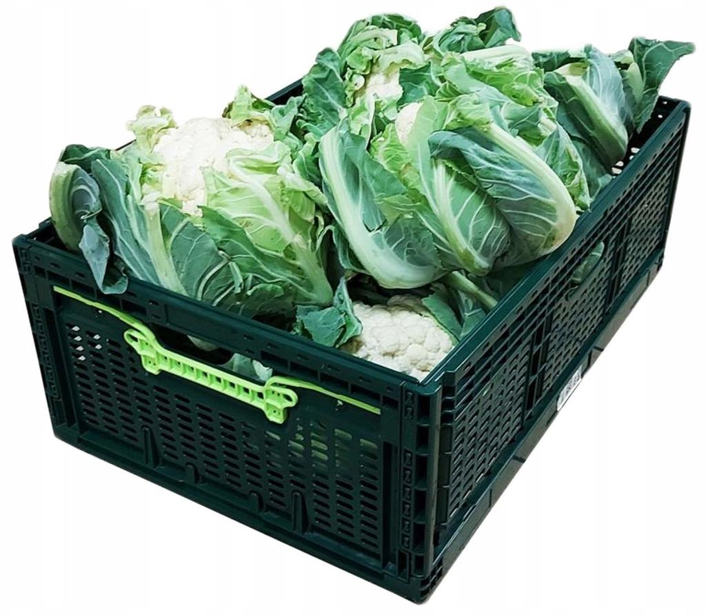 Folding Box 600X400X219Mm Dark Green
