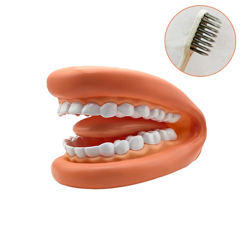 1 набор стоматологических моделей, ручная кукла с могучим ртом и языком для логопеда стоматолога / образовательный обучающий ресурс для детей