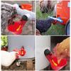 10PCS Automatic Feeder Poultry Water Drinking Cups for Poultry Chicken Hen Birds