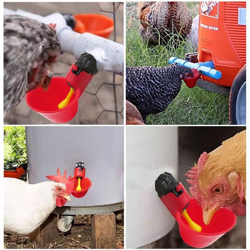 10PCS Automatic Feeder Poultry Water Drinking Cups for Poultry Chicken Hen Birds
