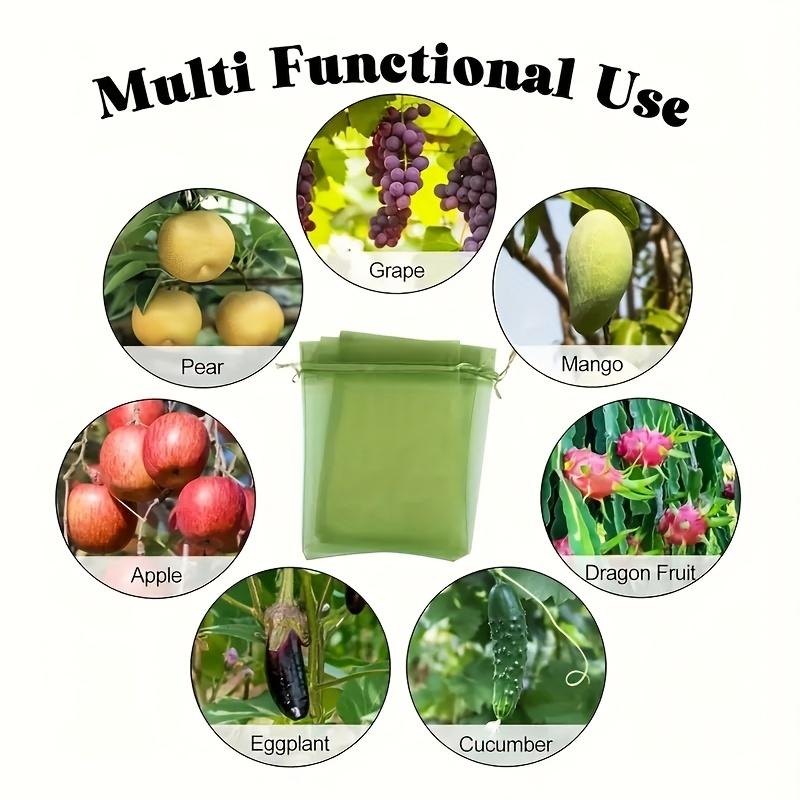 50pcs Reusable Fruit And Vegetable Protection Bags - 12x9cm Drawstring Net Cover