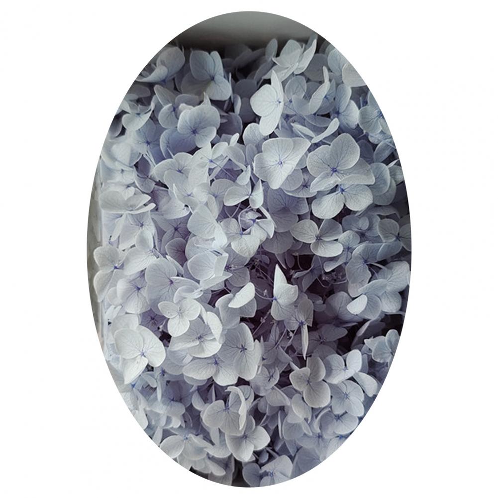 1 коробка цветных сухоцветов натуральные реалистичные головки гортензии своими руками натуральные свежие стабилизированные цветы гортензия свадебные сувениры