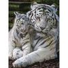 5D DIY Diamond Painting Full Round Drill Tiger Animal Rhinestones Diamond Embroidery Cross Stitch Mosaic Wall Art Home Decor