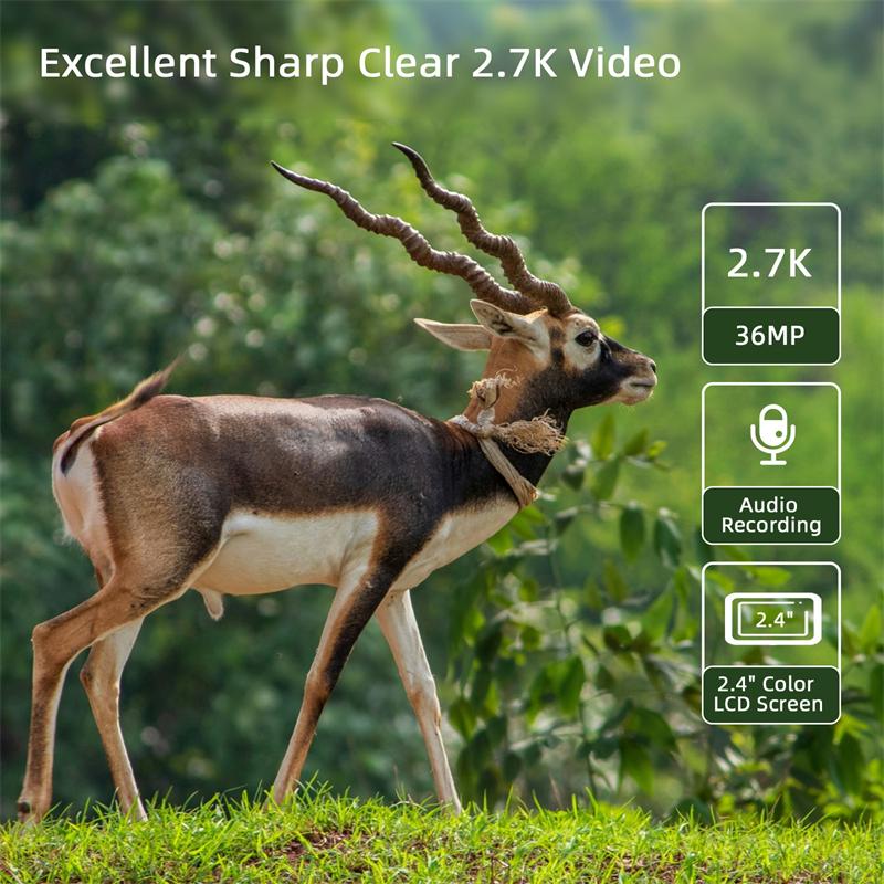 Ourdoor Trail Camera 36mp Камера ночного видения Разрешение 2,7k Охотничья камера Диапазон обзора 120° Расстояние ночного видения 20 м