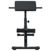 Hyperextension Bench Black 100.5 x 70 x 78 cm