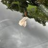 Premium Plastic Material Car Dashboard Ornament Waving Hand Ornament  Vehicle Interior Space
