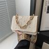 Woven Fashion Acrylic Chain Bag 2025 New Spring Simple Shoulder Bag Straw Lace Messenger Bag Women