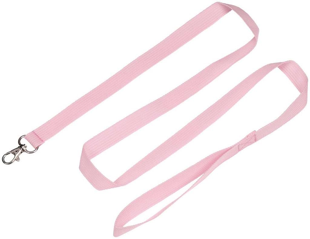 Шлейка для рюкзака Skate Walking Backpack для очень маленьких собак Pet Strolling Dog Sanrio My Melody My Melody PRYU1-A