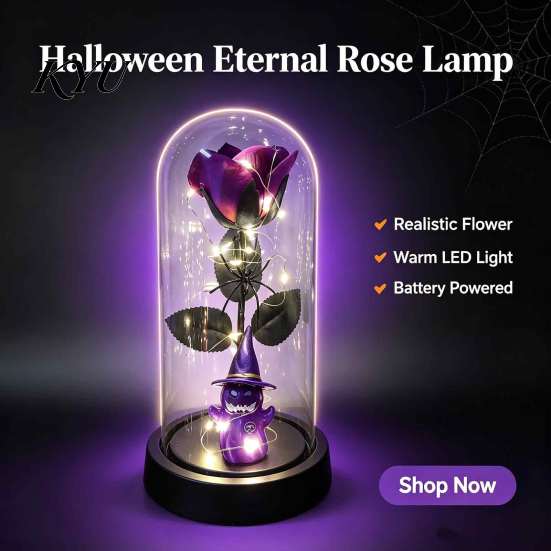 Secret Room Decorative Item Halloween Indoor Light Up Rose in Plastic Dome Cloche, Artificial Preserved Gothic Floral Night with Spider Pumpkin Witch