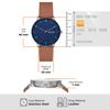 Watch RIIS SKW6885 Brown [Skagen] Men's