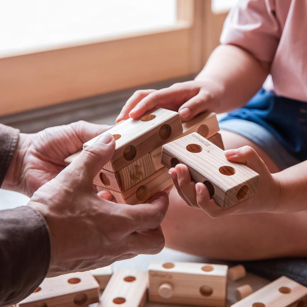 Zurenga mini 24 шт. Награда «Игрушка года 2023» Превосходство в категории «Образовательная игрушка» [Японская награда]