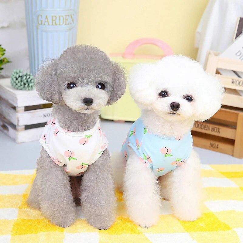 Spring Summer Dog T-shirt Breathable Puppy Clothes Cute Fruit Printed Dogs Cat Vest Sleeveless Chihuahua Pullover Pet Supplies