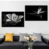 Черно-белые цветы подсолнуха, лилии, принты, постер, холст, живопись, современные настенные художественные картины для гостиной, спальни, домашний декор, без рамки