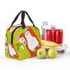 Colour Goose Cartoon Pattern Insulated Lunch Bag for Women Children Leakproof Food Boxes Thermal Lunch Box Tote