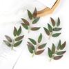 50 шт. Искусственное растение Шелковый лист Бытовое Рождественское украшение Свадебная вечеринка Фоновые аксессуары Сделай сам Конфетная коробка Скрапбукинг