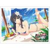 Кит Синноби Мастер Senran Kagura New Link Икаруга Фестиваль Популярности Защитные Карточки Полипропилен 67 x 92 мм