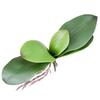 Orchid Leaves Artificial Phalaenopsis Stems Leaf Faux Cymbidium Flower Foliage Green Real Touch Latex Bulk Home Decor