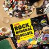 XXTOYS Set of Mineral Gemstone Natural Ore Natural Rock Mineral Geology Science Kids Gift 250-Piece Specimens, Toys, Fossils, Geodes, Fossils, &