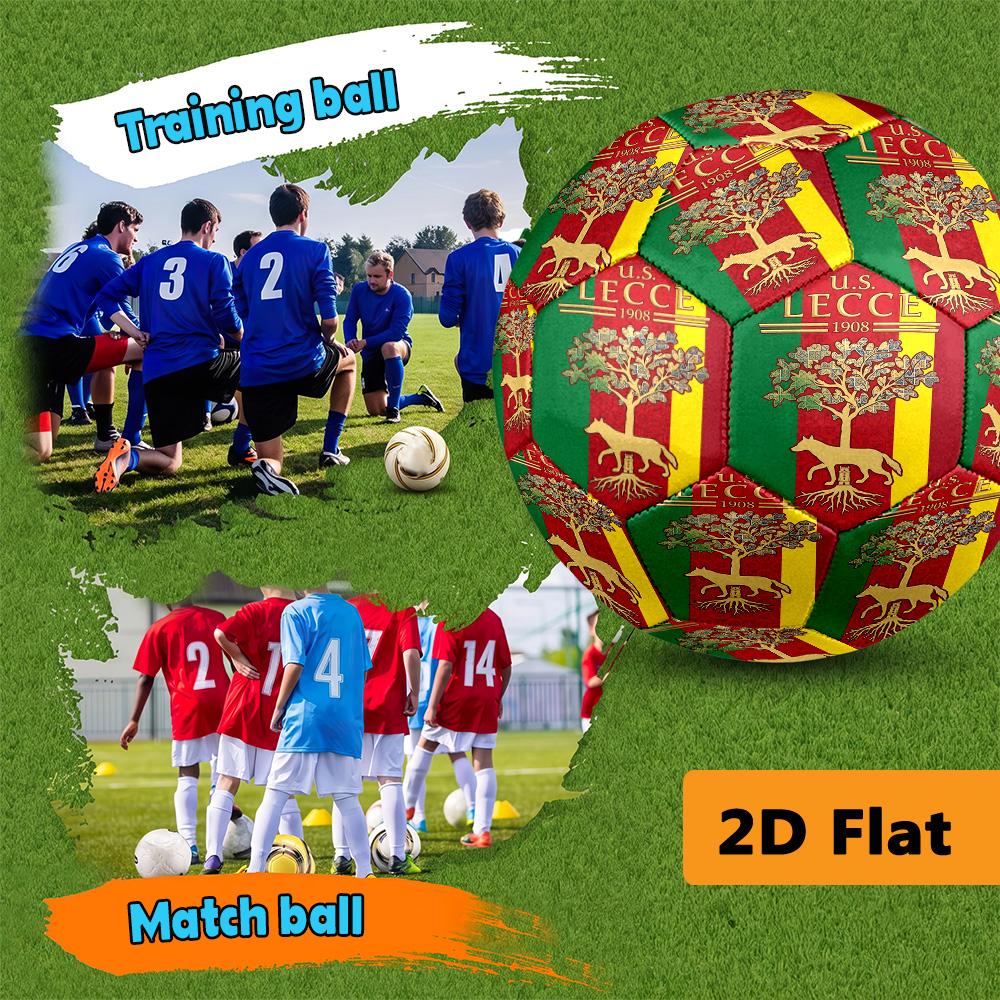 National Emblem Portugal football Suitable for both training and competition Wear-resistant and slip-resistant