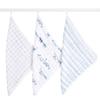Aden Anais and Japanese Genuine Product Rising Star AWCC30009 30 X 30cm Wash Cloth 3 Piece Set Towel with Loop Towel Gauze Handkerchief Girls Boys
