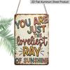 2D Flat Vintage Sunshine Quote Colorful Aluminum Sign Cheerful Home Decor "You Are The Loveliest Ray of Sunshine" Colorful Wall Art Bedroom, Nursery