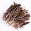 Kobashishan Cocktail Feathers Wild Feather Nature Decorative Feather Jewelry Accessories Crafts