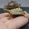 Craft Gift Personal Collection Desktop Ornaments Turtle Figurines Brass Tortoise Tortoise Statue