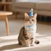 Костюм на День Рождения Собаки Декорация на День Рождения Собаки Слюнявчик Набор Шапочек и Шарфа для Питомца на День Рождения Слюнявчик