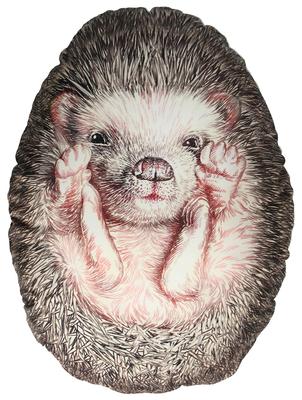 Hedgehog Pillow