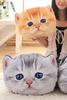 [dokidoki] Cat Kitten Face Cushion Body Pillow Plush Toy American Shorthair Tabby Funny Item Gift Cute Moe Instagram