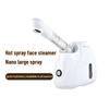 Beauty Shop Specific Face Steam Beauty Device Household Hot Spray Face Steamer Nano Water Replenishing Sprayer