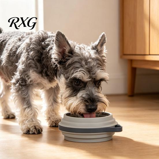 Durable Silicone Bowl for Pets Collapsible Dog Bowl, Portable Pet Water with Hanging Foldable Food Dogs Buckle, Outdoor Hiking Walking Camping