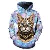 Autumn Winter Long Sleeved Hoodie Cute Cat Series 3D Digital Printing Loose Casual Hoodies & Sweatshirts Men’s