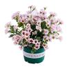 Artificial Sunset Mums Flowers Waterproof Fake Fall Flowers for Outdoor Garden Patio Home Planters Home Decoration