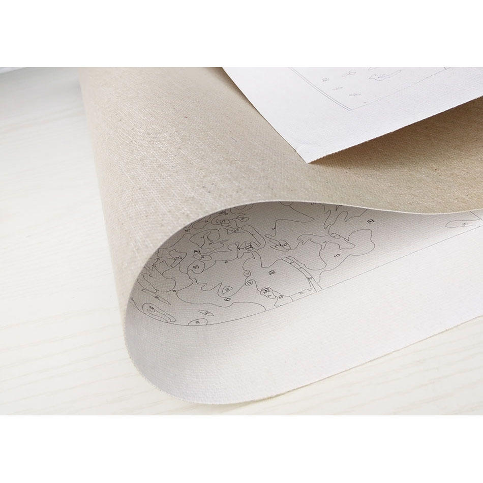 Бескаркасный тигр и секс для девочек, наборы для рисования по номерам своими руками, акриловая живопись на холсте, домашний декор