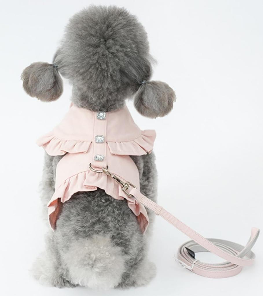 Lady Glamour Frilled Harness with Sparkling Decorative Easy To Put On and Take Includes a Matching Fabric Perfect for Dogs and Perfect for Walking