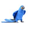 Hansa Toy Hayacin's Mako Macaw Macaw Plush Toy 7371, 21cm, Mixed Colors, Popular Toys for Korean Children