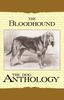 Книга The Bloodhound - A Dog Anthology (A Vintage Dog Books Breed Classic)
