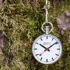 Pocket Watch Genuine Imported Product [Mondine] A660.30316.11SBB