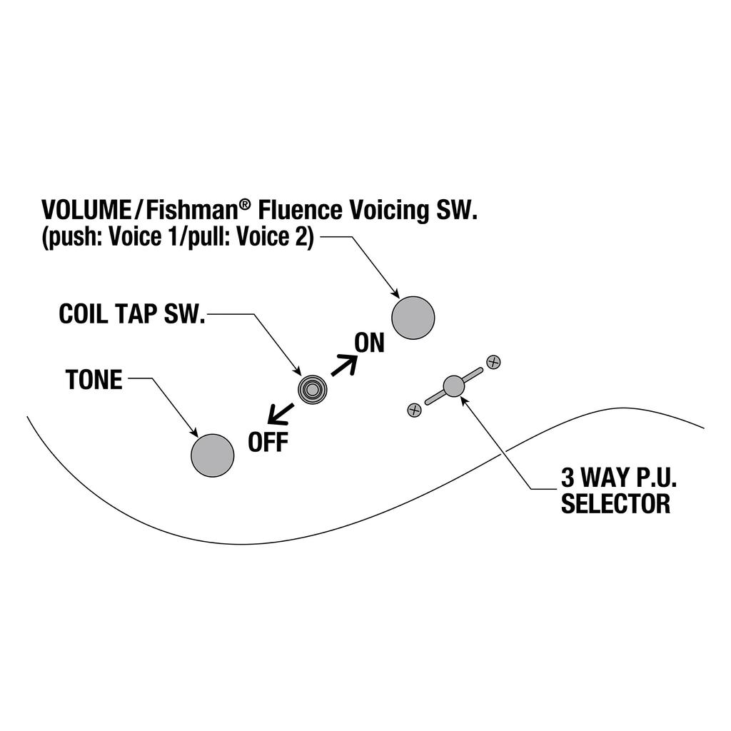 IBANEZ Ibanez/Ограниченная серия RGR6BSP-IPT (Железо Пьютер) [Ограниченная модель]