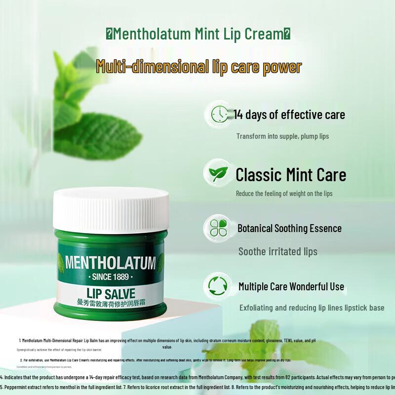 Mentholatum Mint Lip Balm & Lip Cream Set
